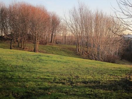 Den omsorgsfullt framtagna och inbjudande parkmiljön i Järva Discgolf Park. Tensta i bakgrunden. Foto december 2013.